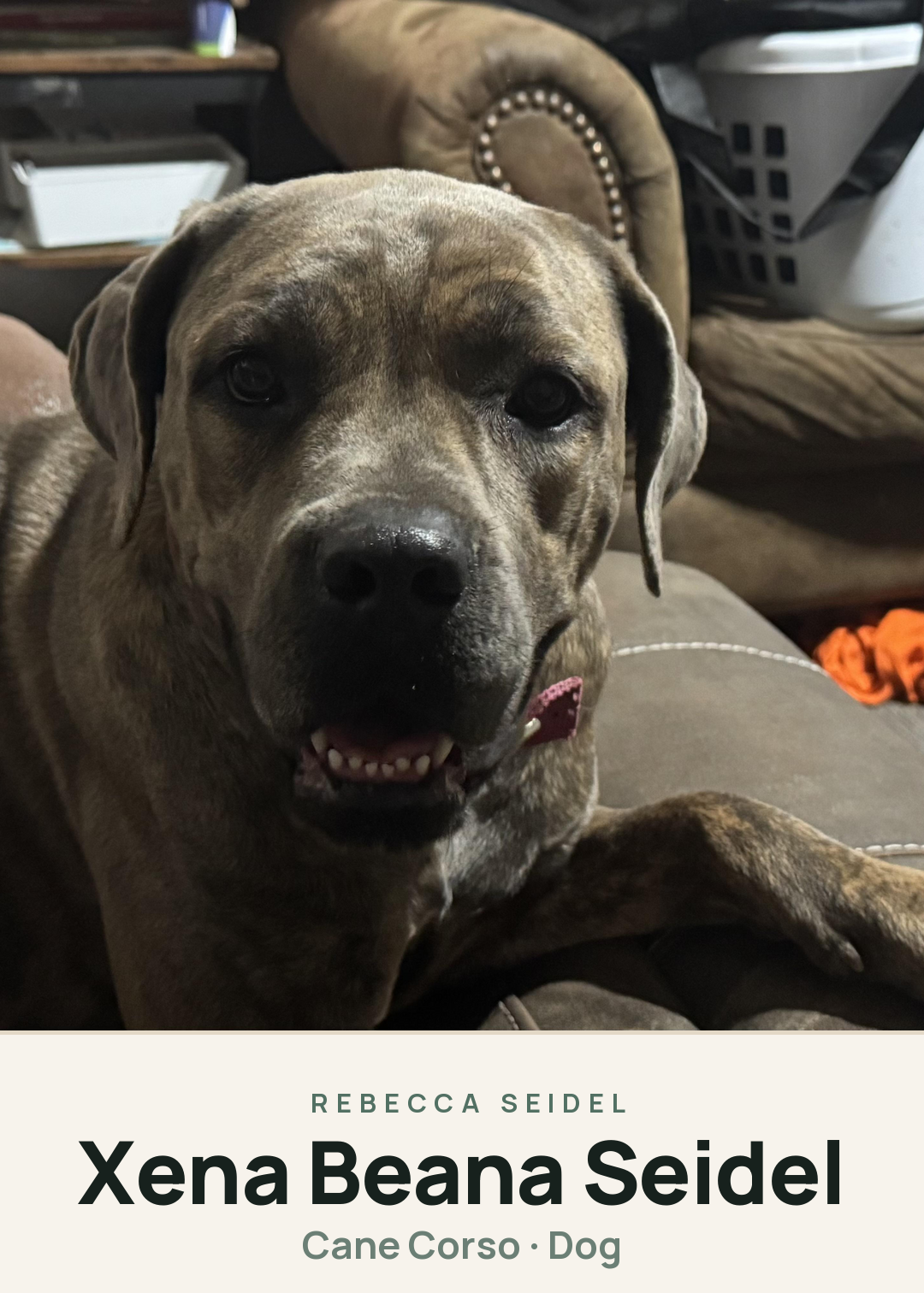Xena Beana Seidel Creature Card