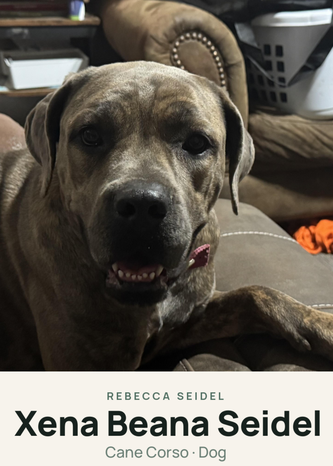 Xena Beana Seidel Creature Card