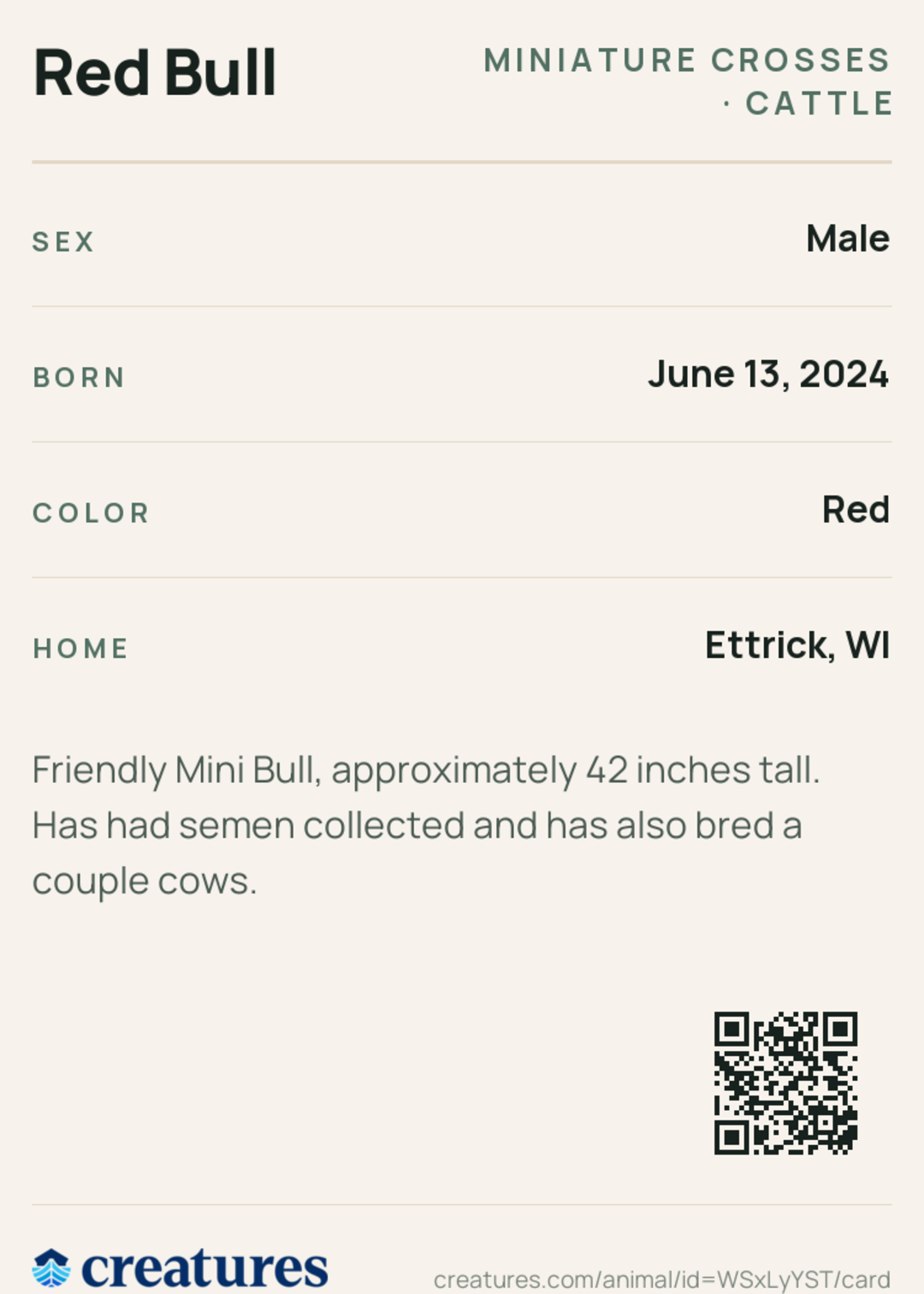 Red Bull Creature Card back
