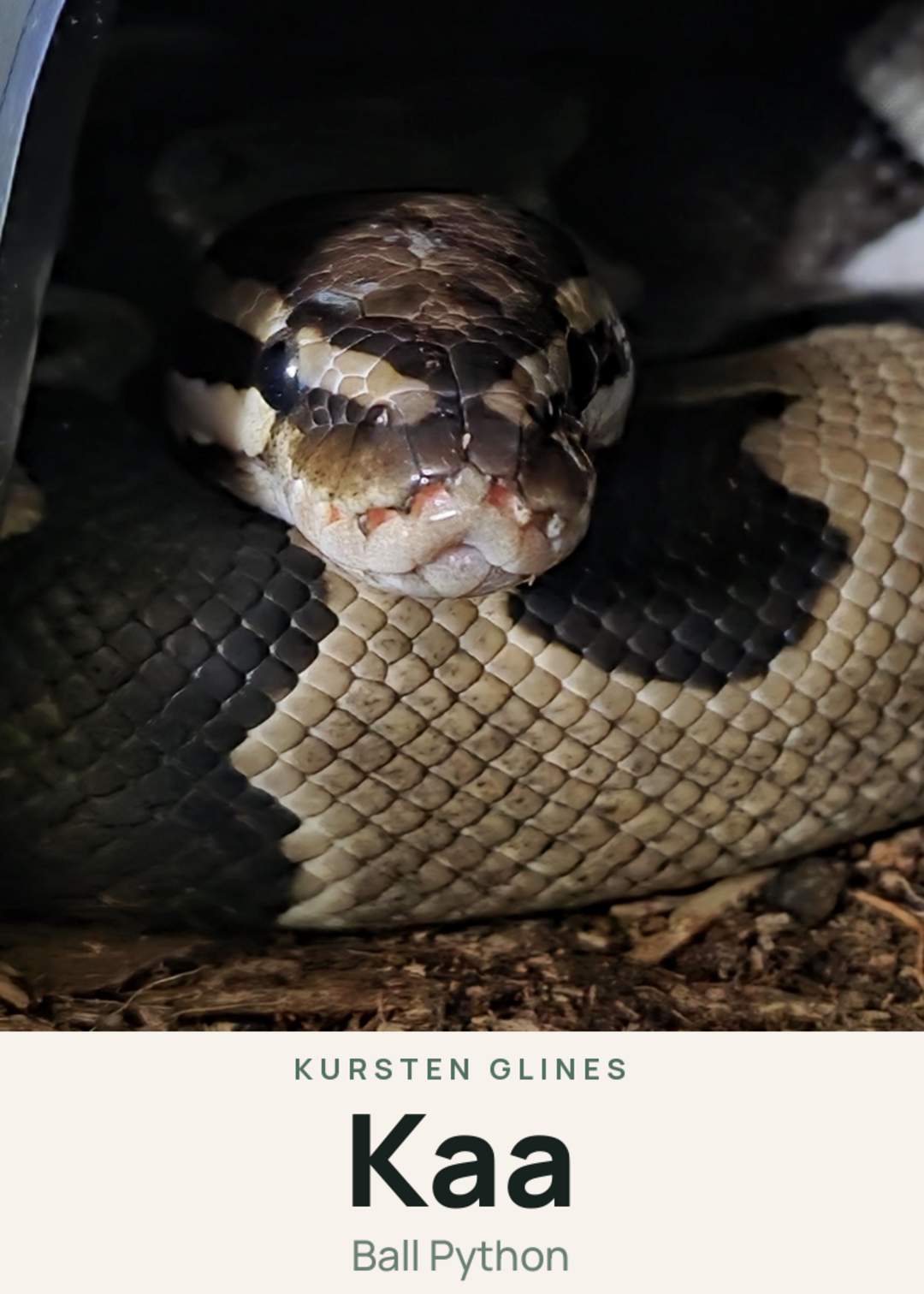Kaa Creature Card