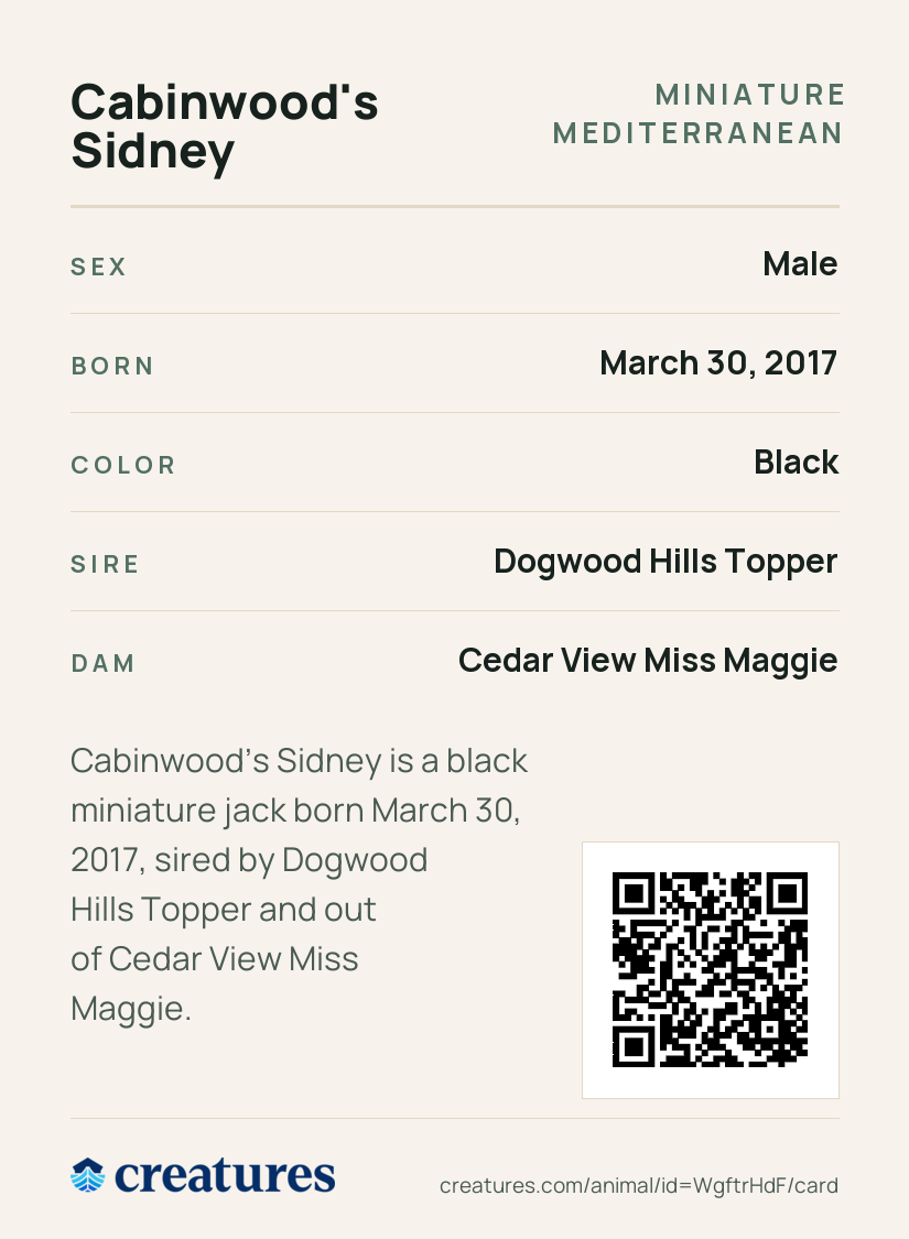 Cabinwood's Sidney Creature Card back
