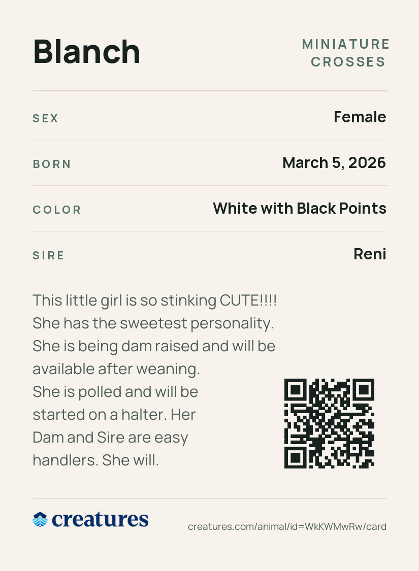 Blanch Creature Card back