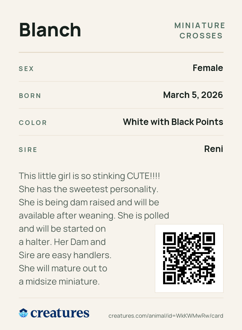 Blanch Creature Card back