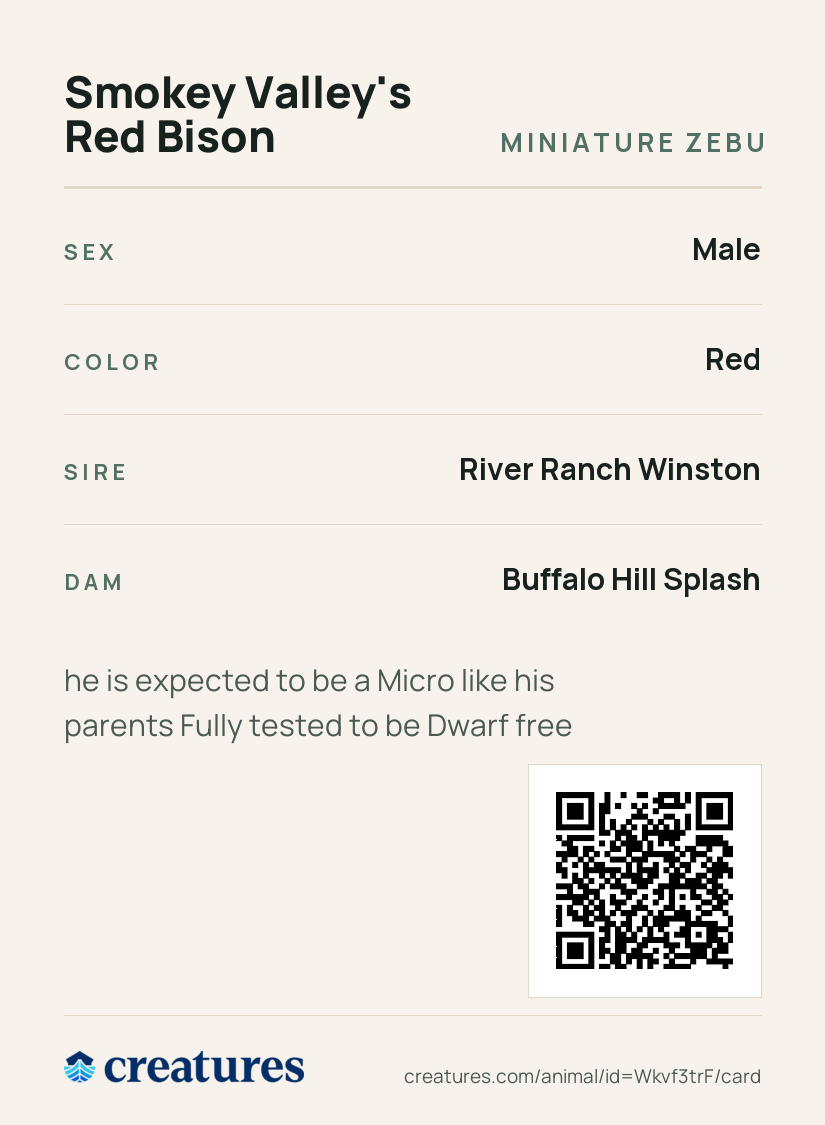 Smokey Valley's Red Bison Creature Card back