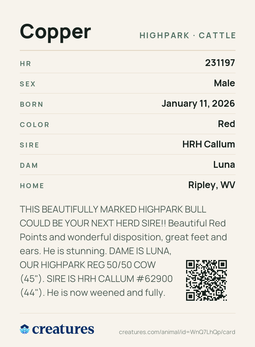 Copper Creature Card back