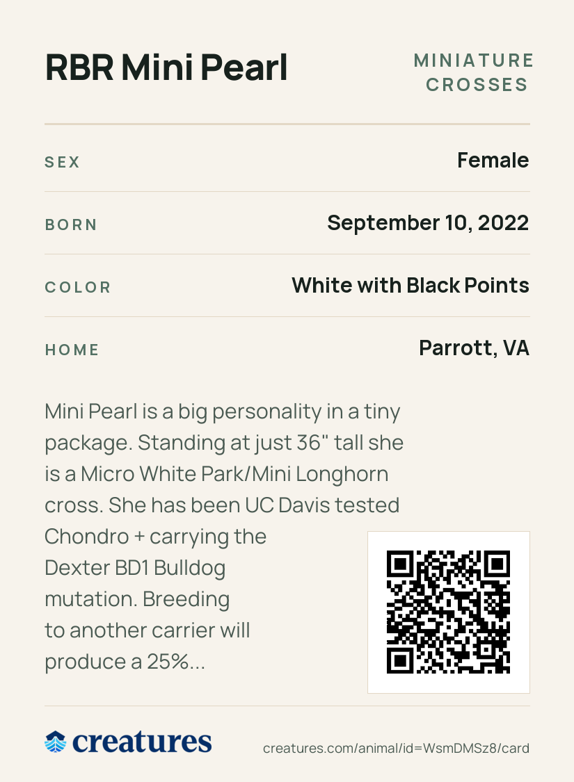 RBR Mini Pearl Creature Card back