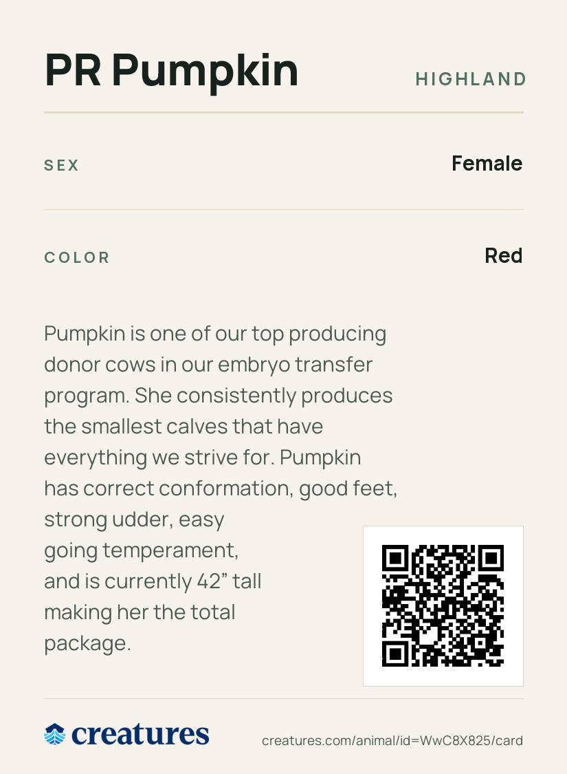 PR Pumpkin Creature Card back