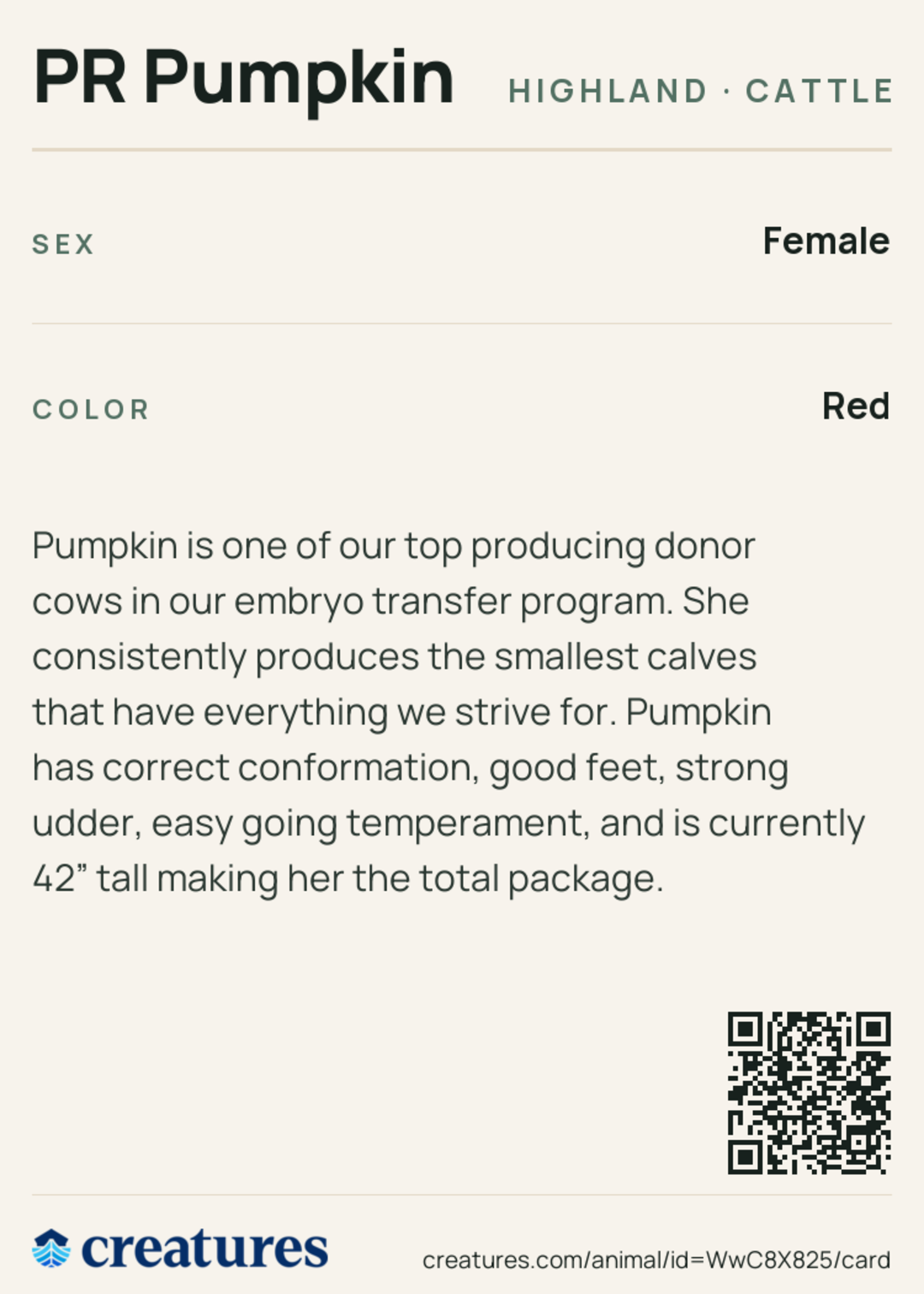 PR Pumpkin Creature Card back