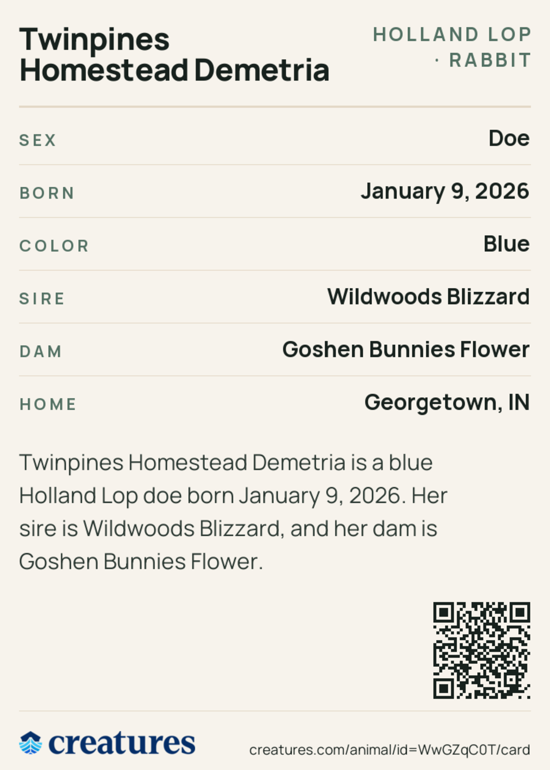 Twinpines Homestead Demetria Creature Card back