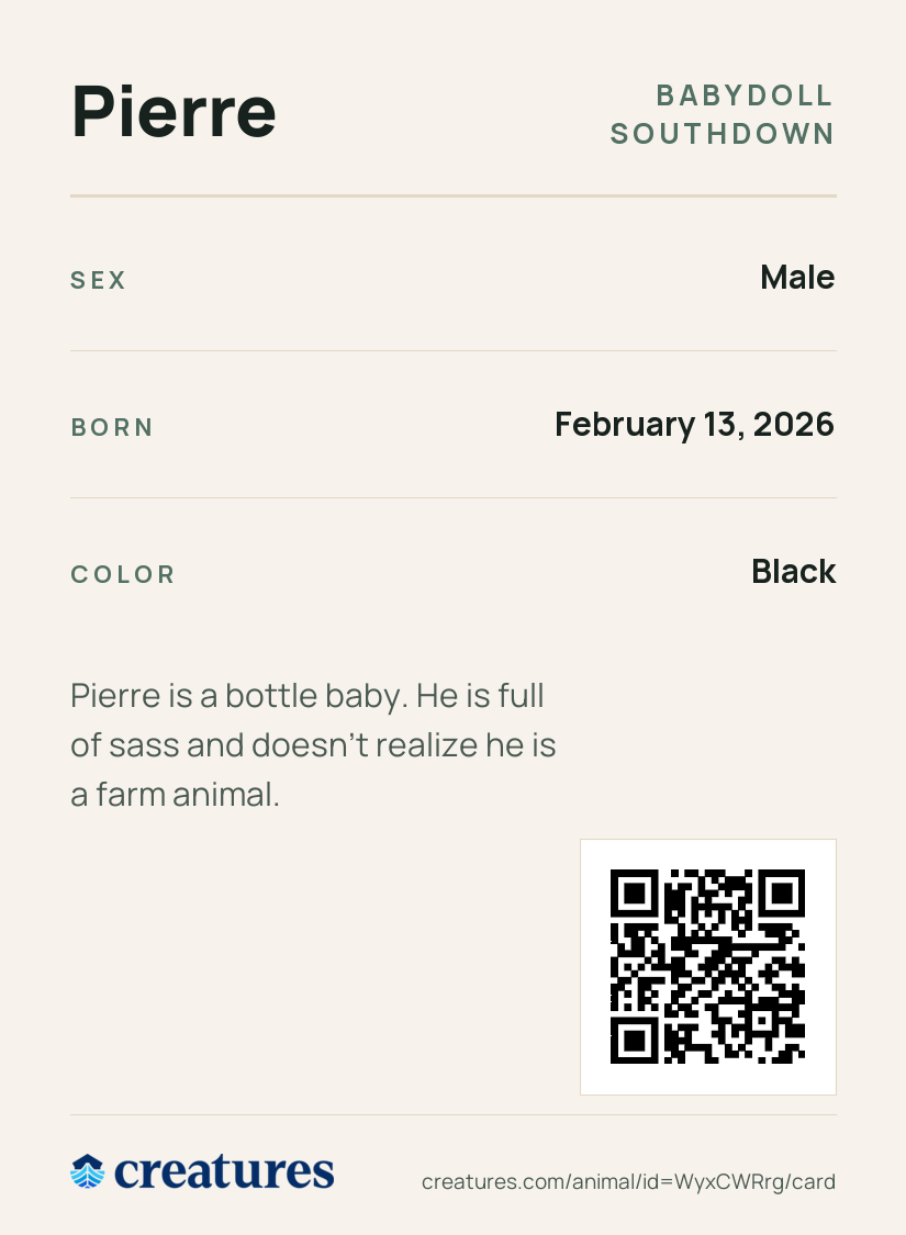 Pierre Creature Card back
