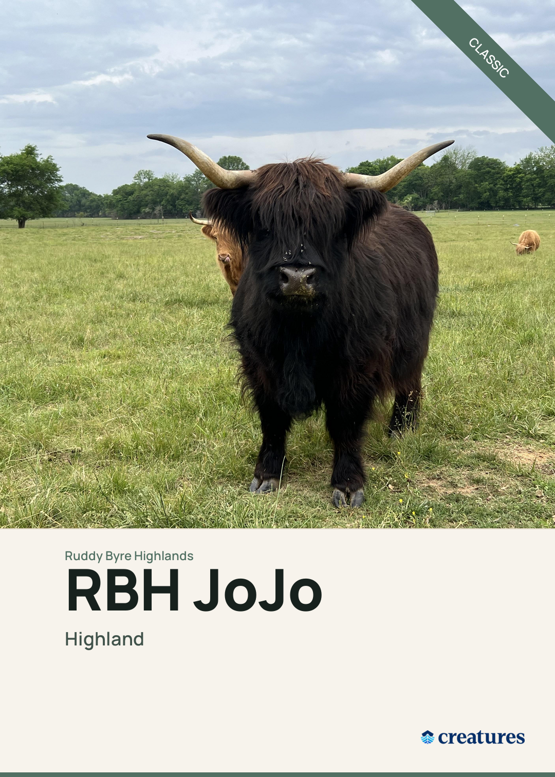 RBH JoJo Creature Card