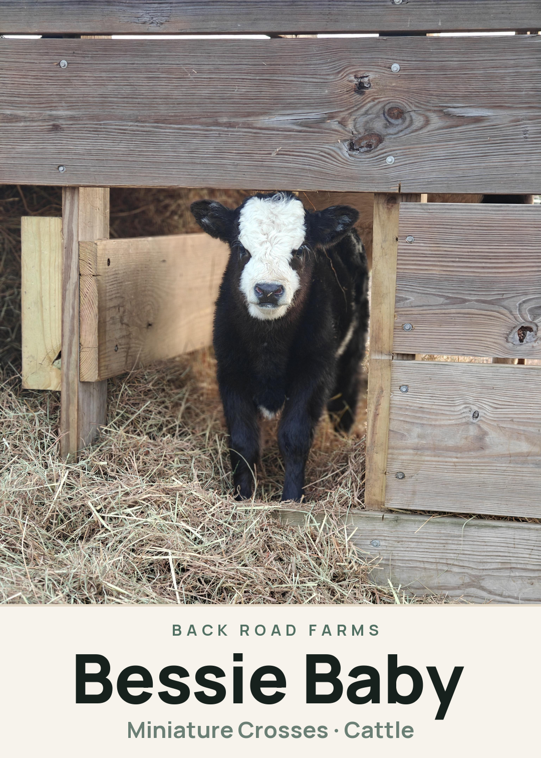 Bessie Baby Creature Card