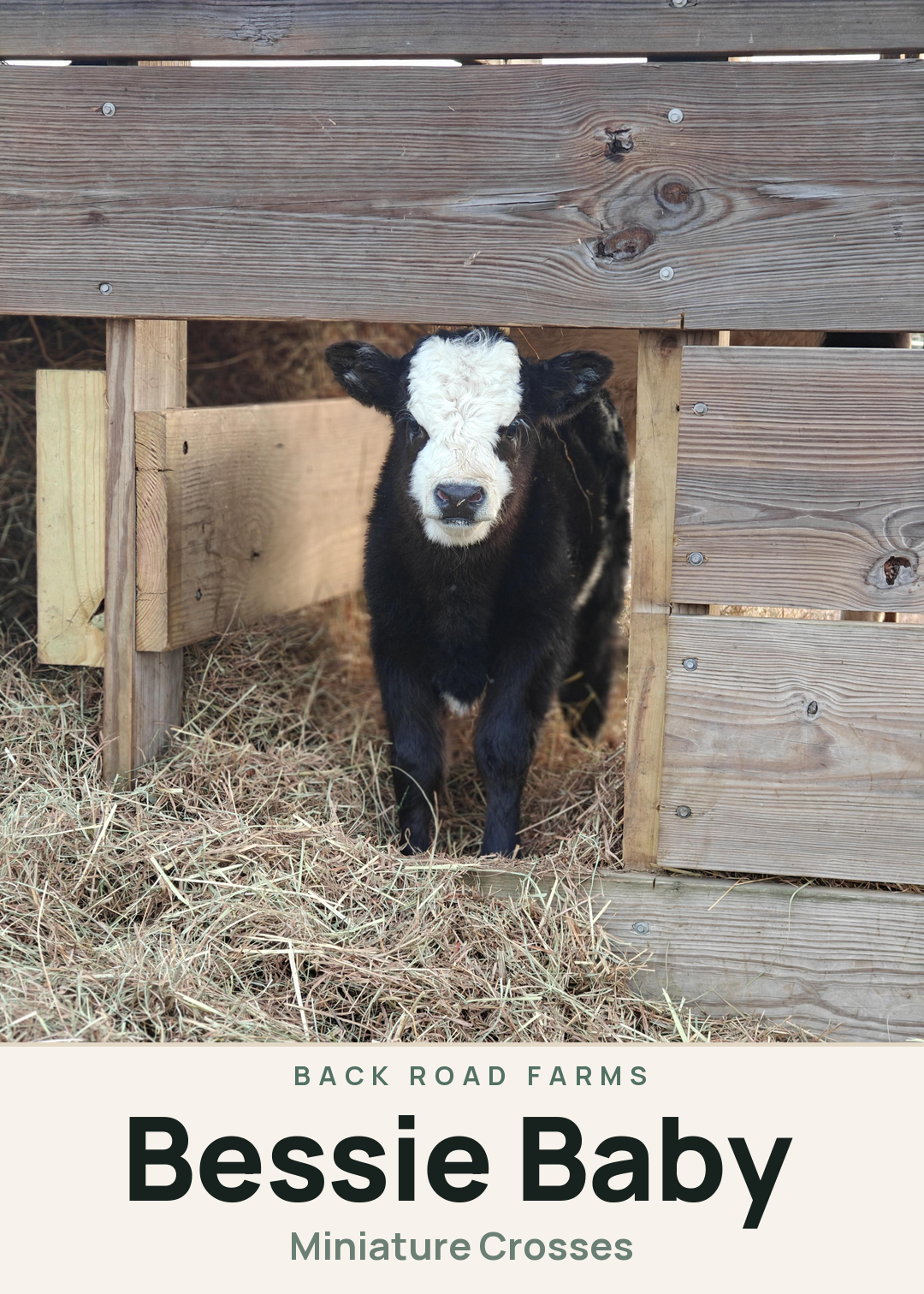 Bessie Baby Creature Card