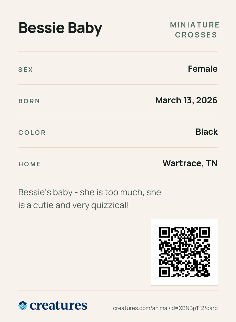 Bessie Baby Creature Card back