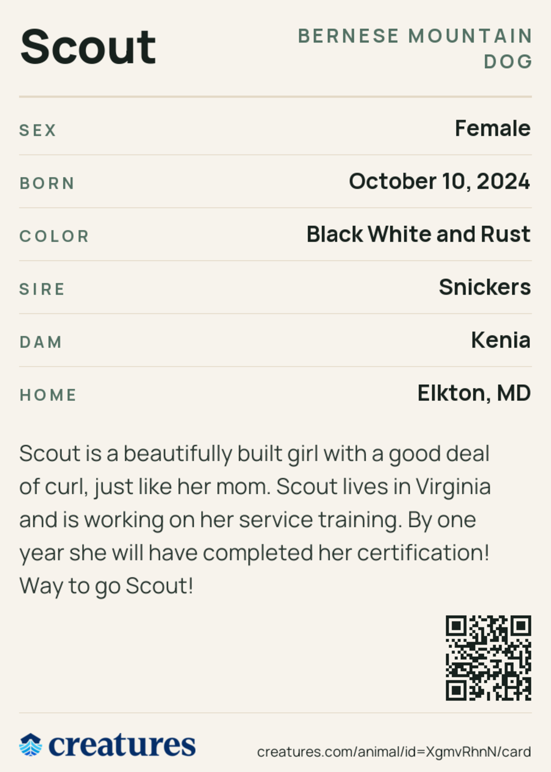 Scout Creature Card back
