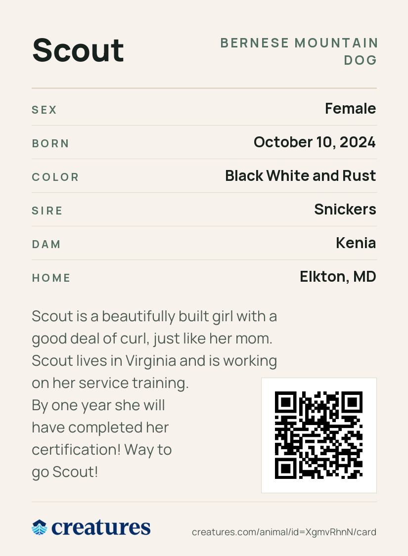 Scout Creature Card back
