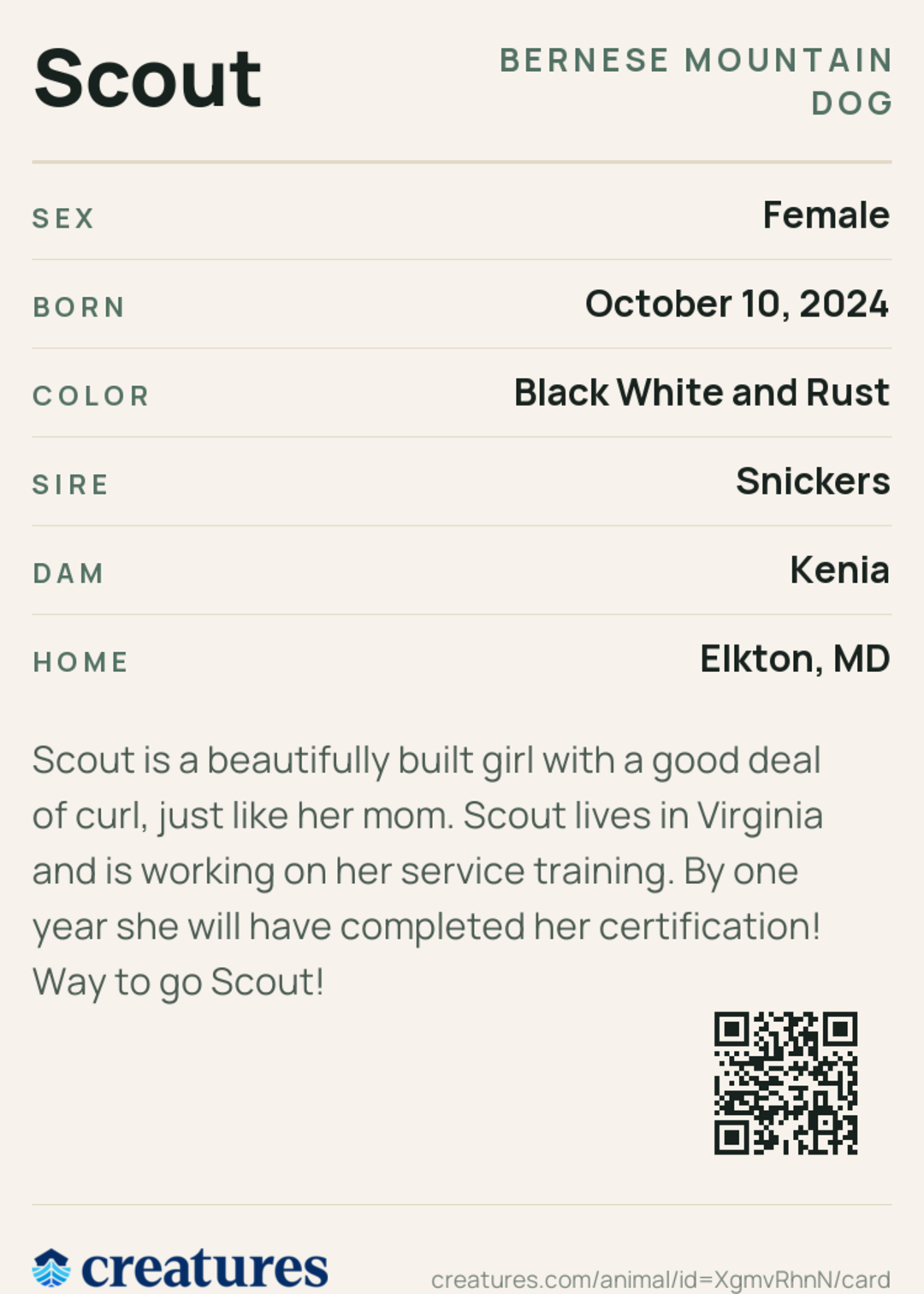Scout Creature Card back