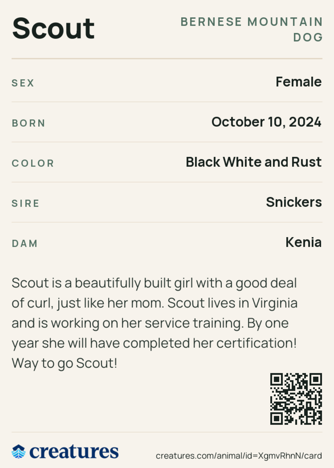 Scout Creature Card back