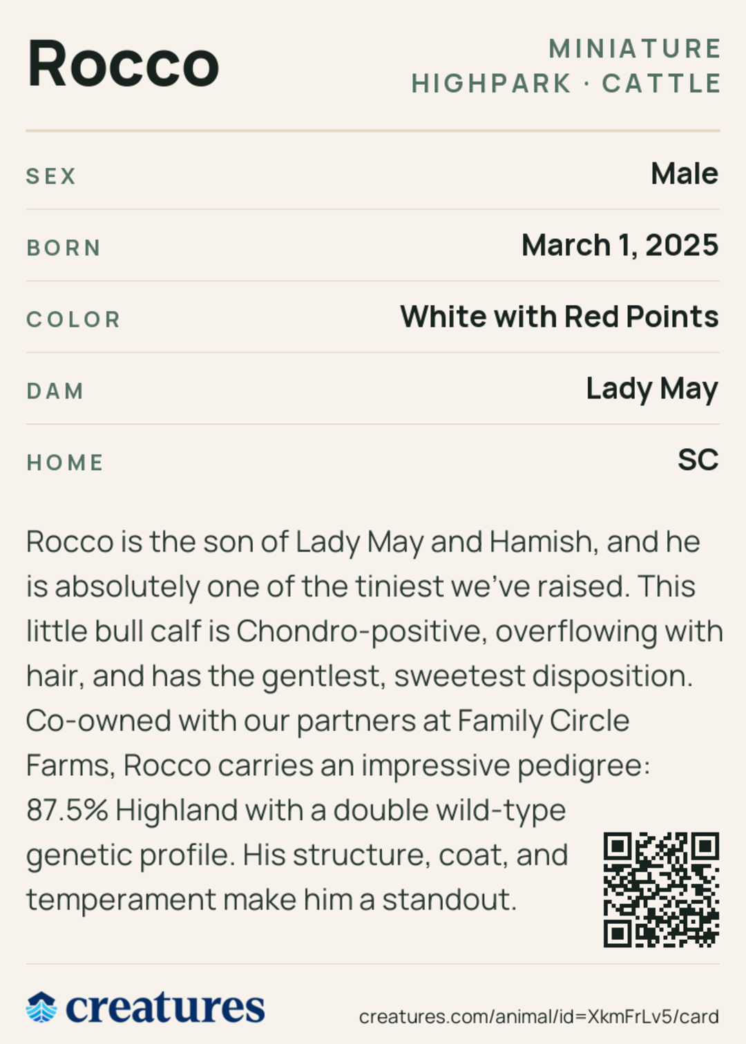Rocco Creature Card back