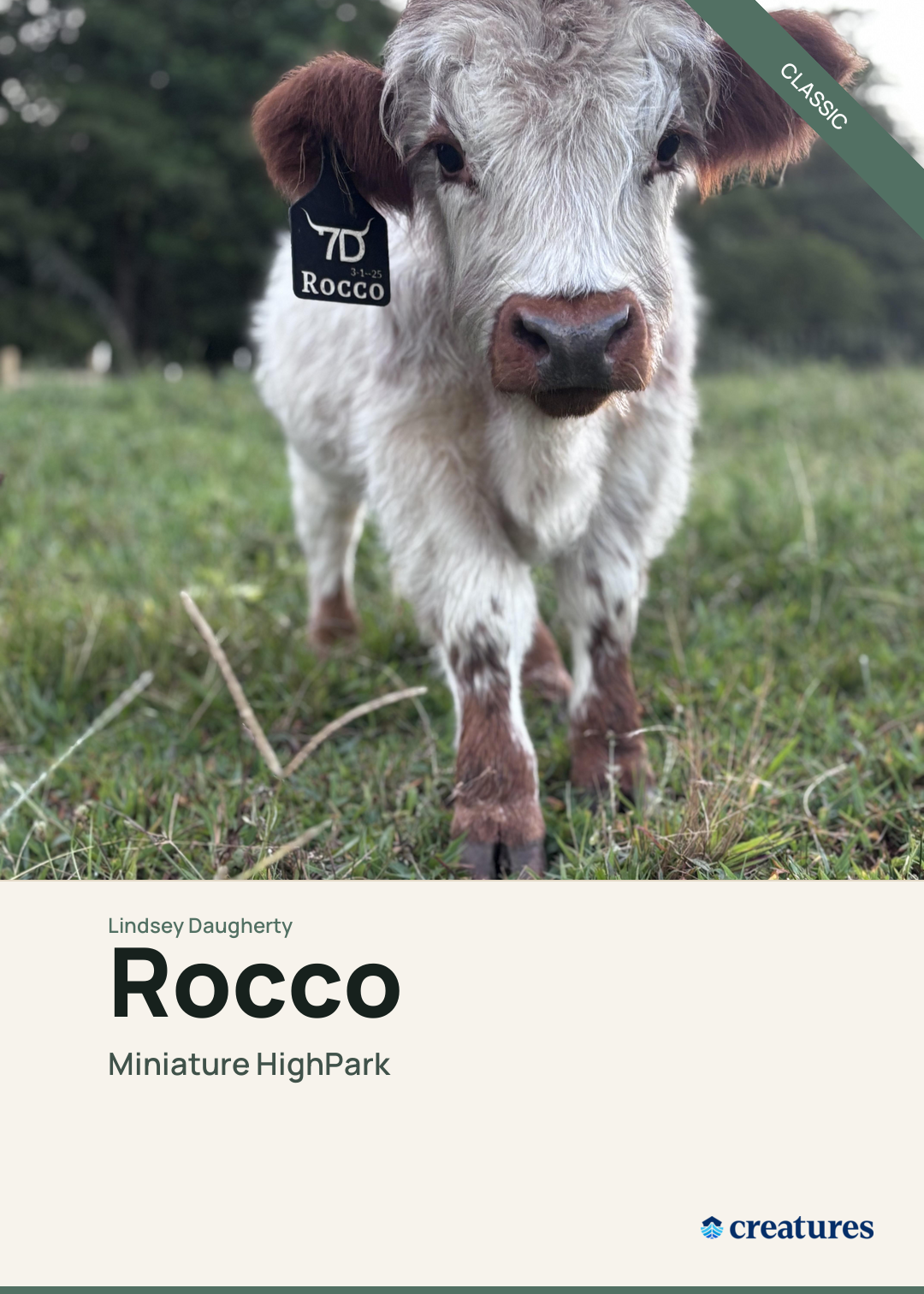Rocco Creature Card
