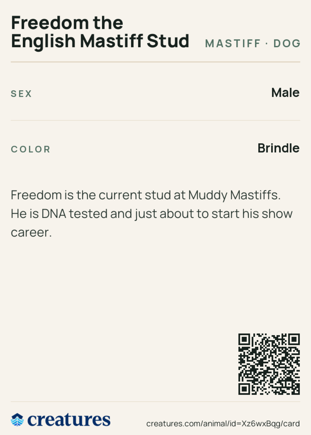 Freedom the English Mastiff Stud Creature Card back