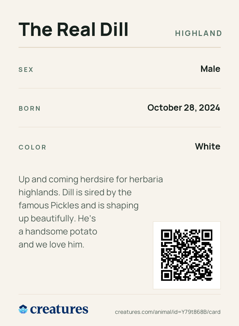 The Real Dill Creature Card back