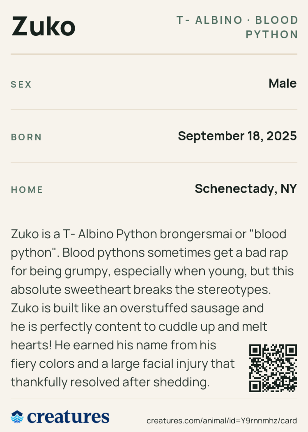 Zuko Creature Card back