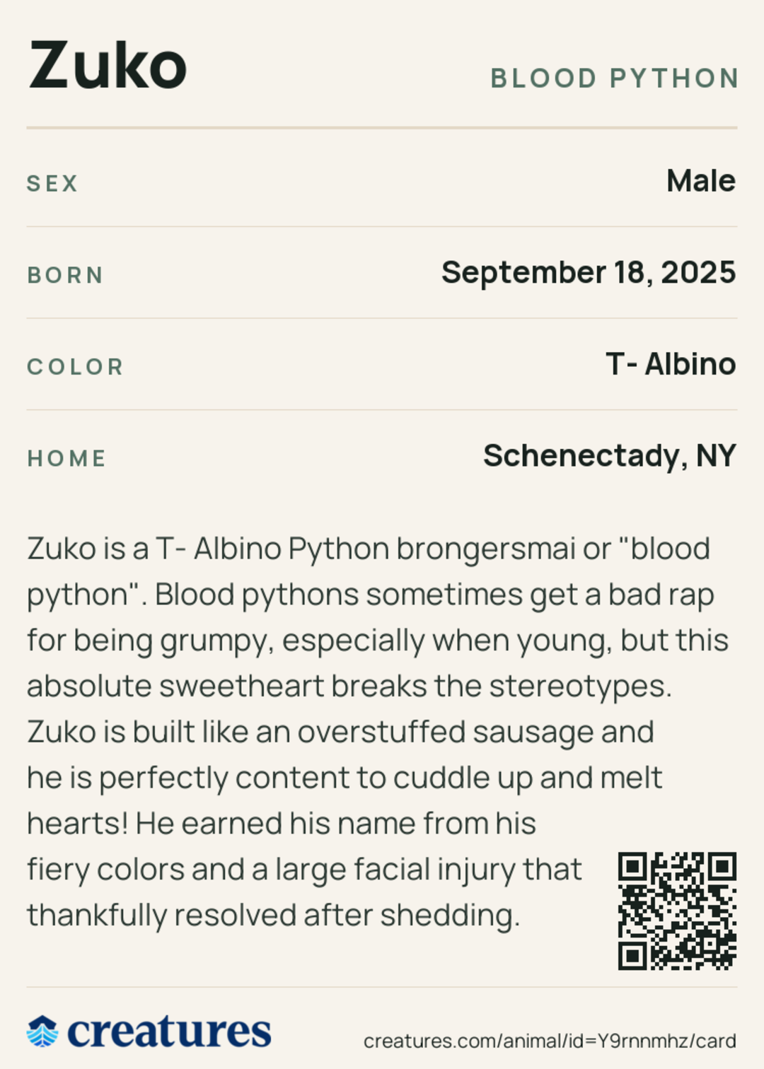 Zuko Creature Card back