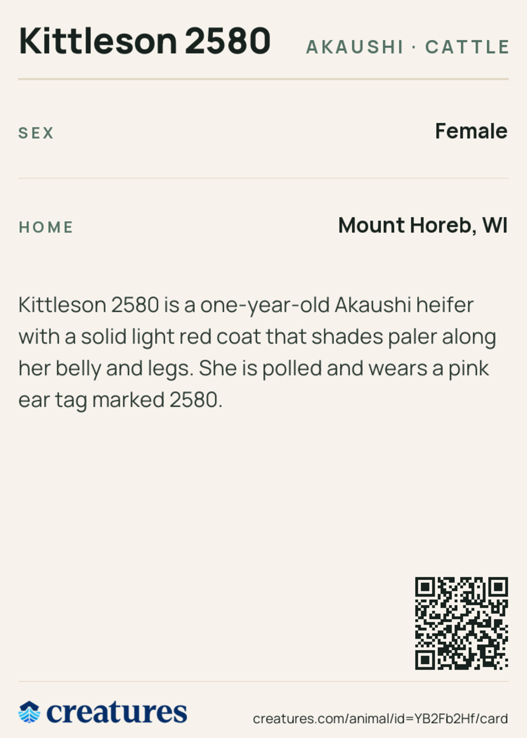Kittleson 2580 Creature Card back
