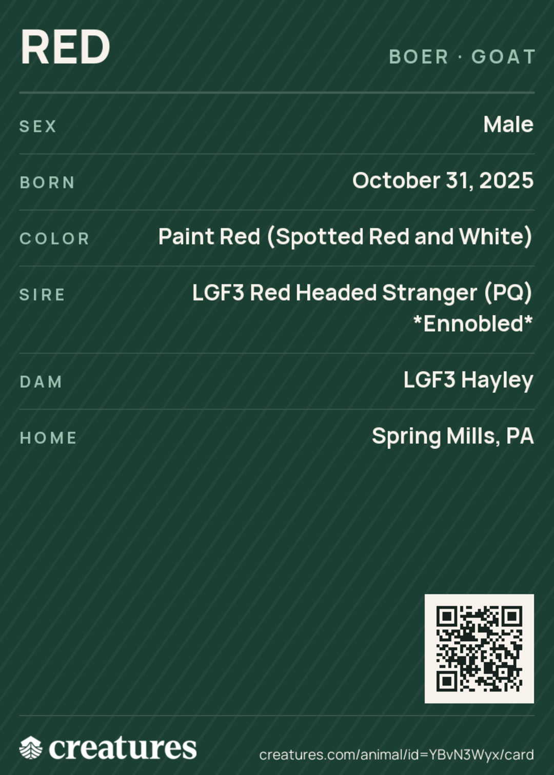 Red Creature Card back