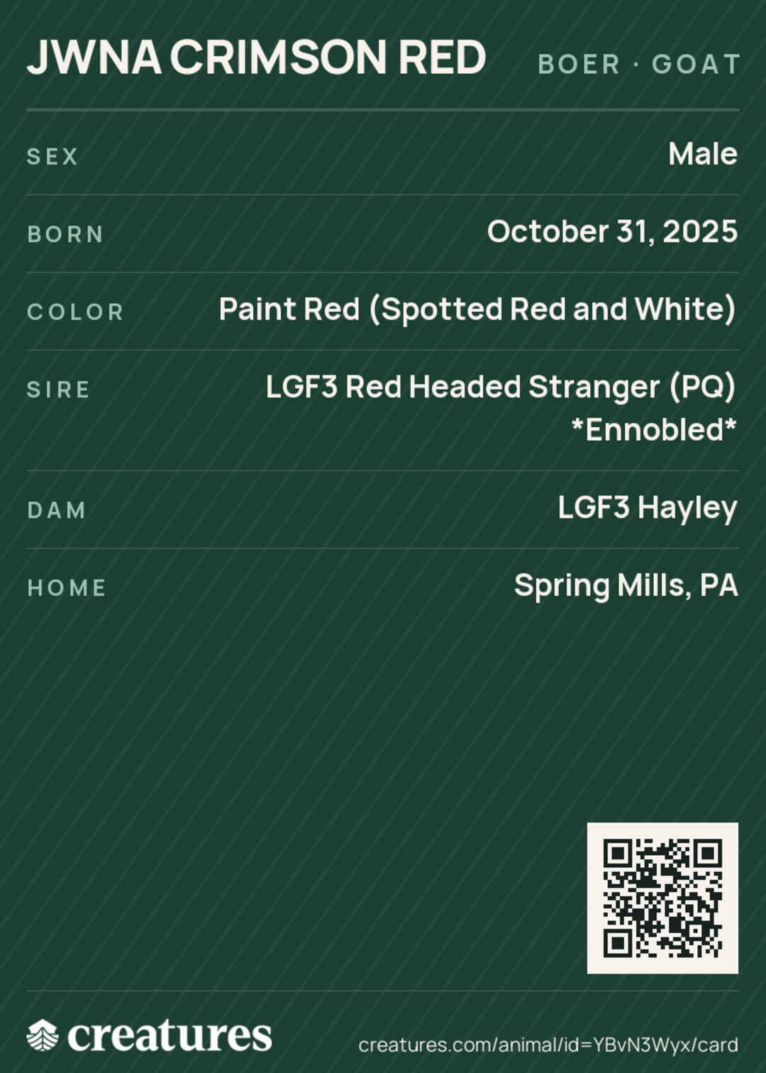 JWNA Crimson Red Creature Card back