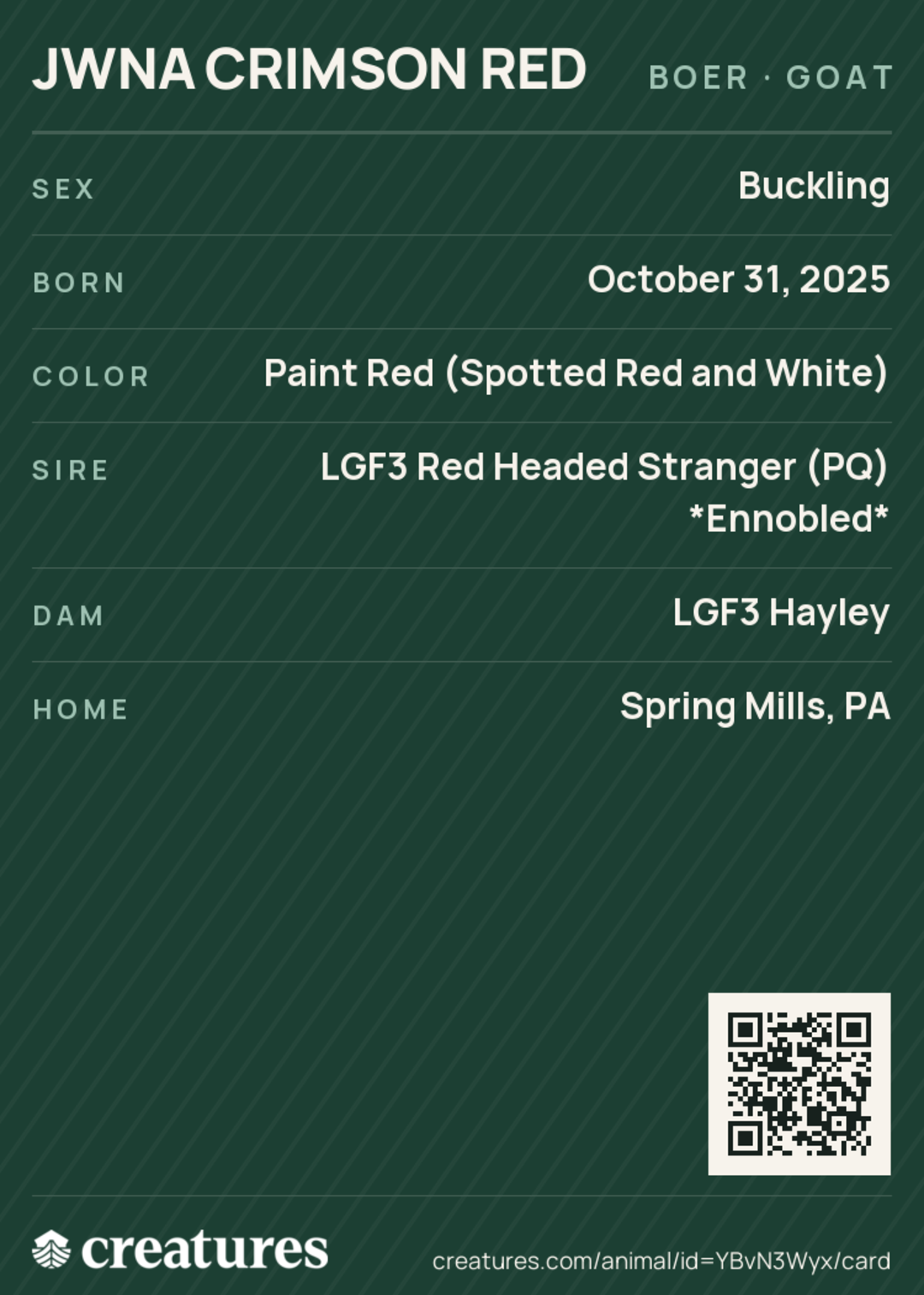JWNA Crimson Red Creature Card back
