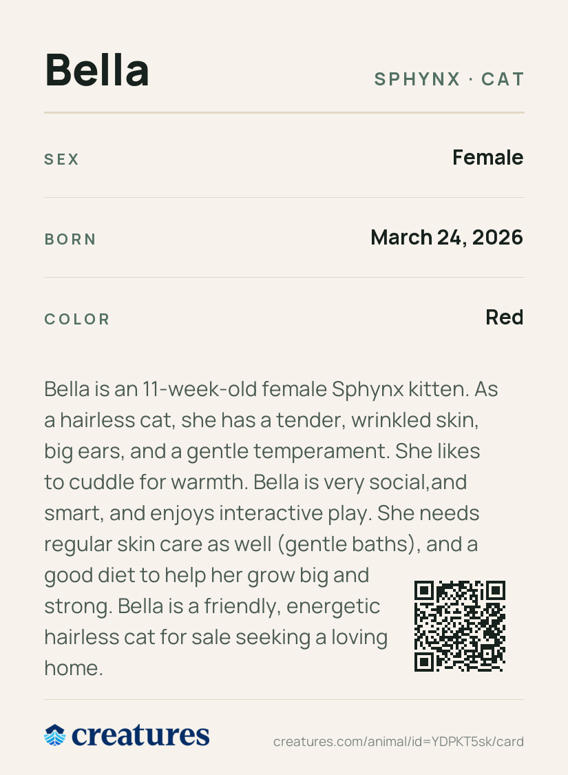 Bella Creature Card back