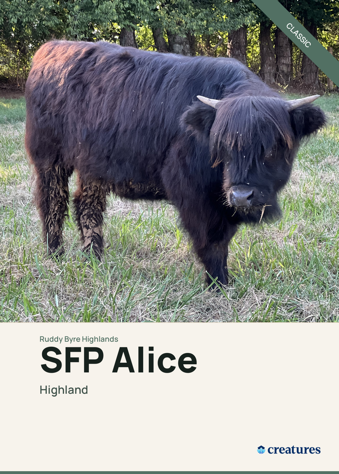 SFP Alice Creature Card
