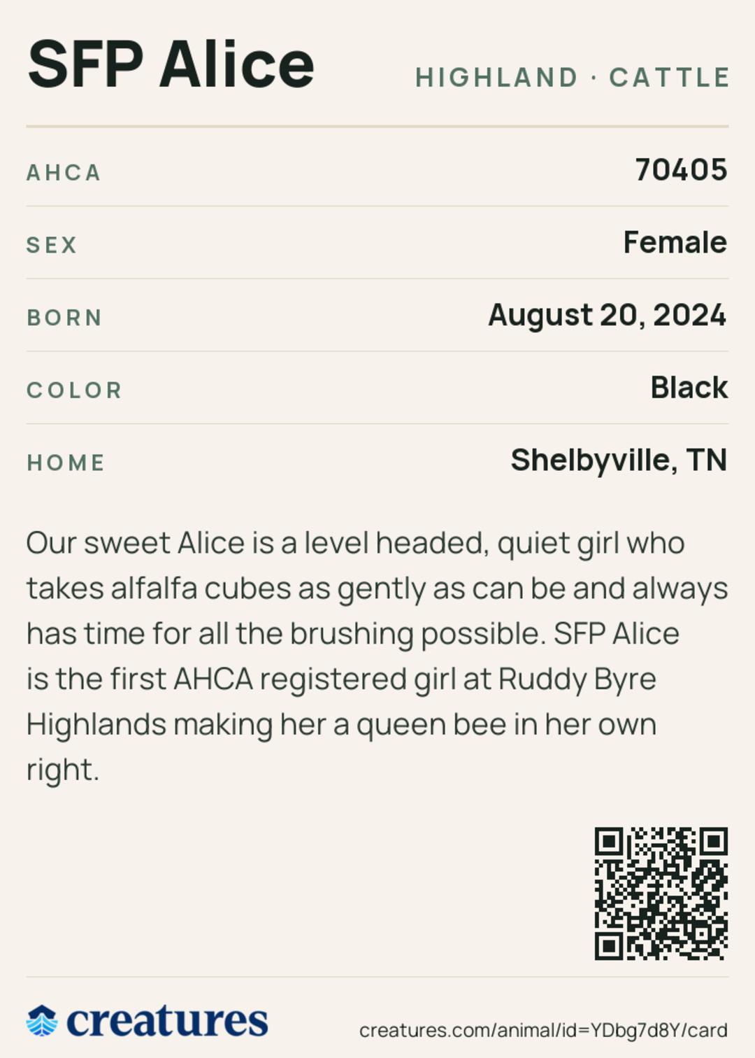 SFP Alice Creature Card back