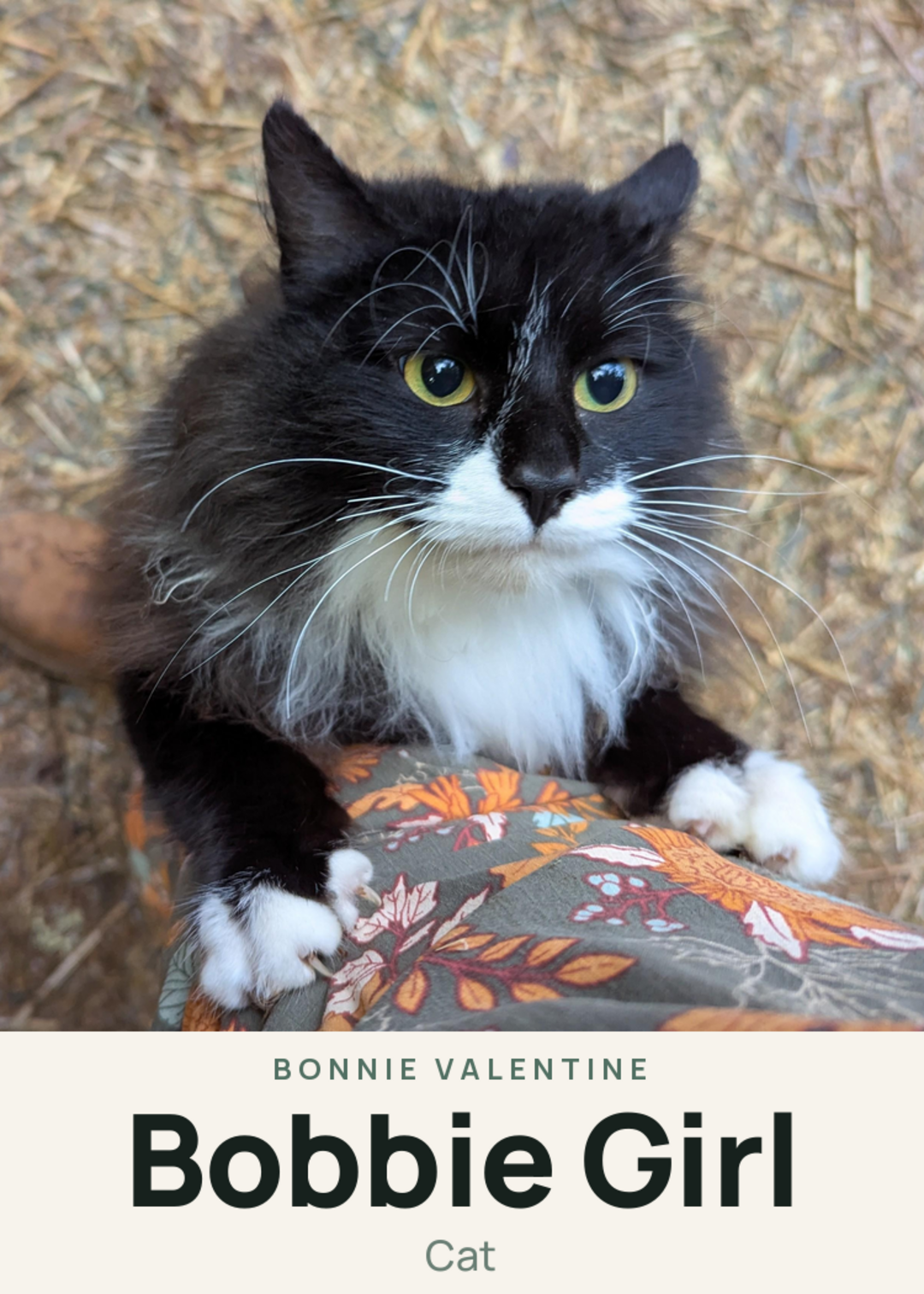 Bobbie Girl Creature Card