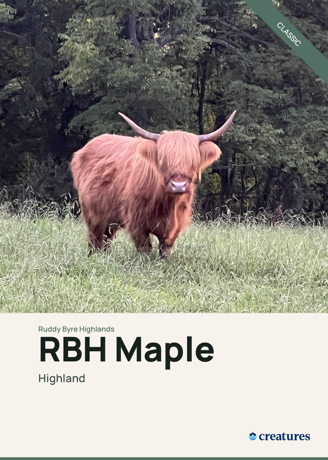 RBH Maple Creature Card