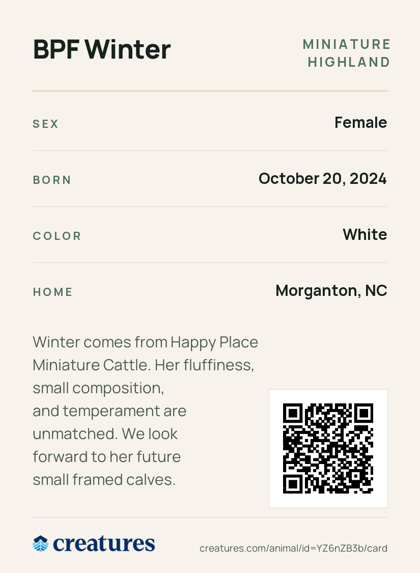BPF Winter Creature Card back