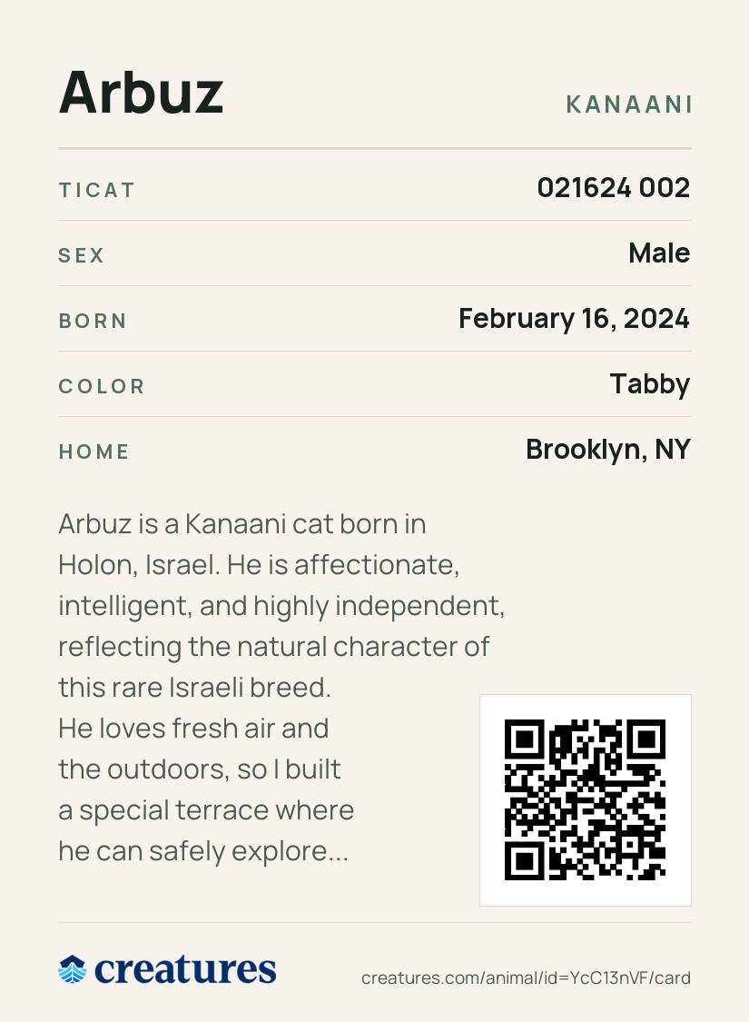 Arbuz Creature Card back