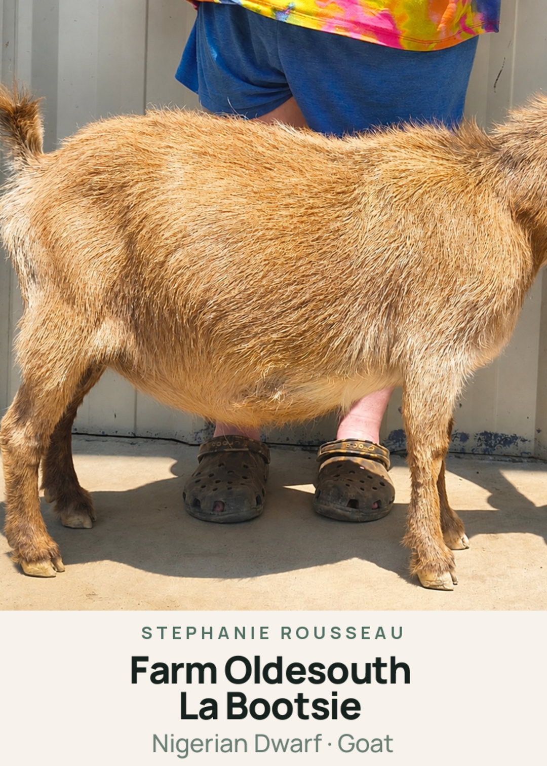 Farm Oldesouth La Bootsie Creature Card