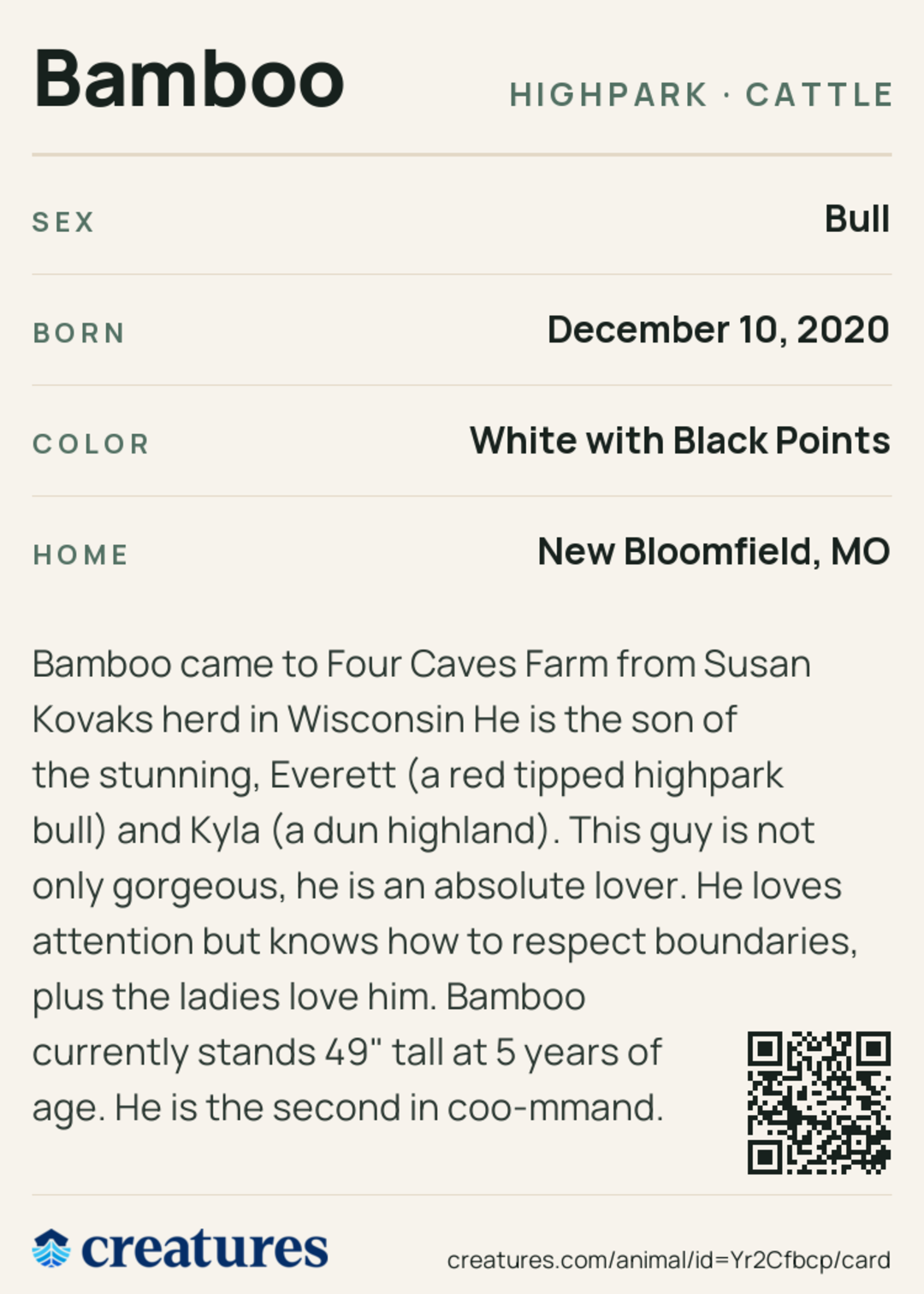 Bamboo Creature Card back