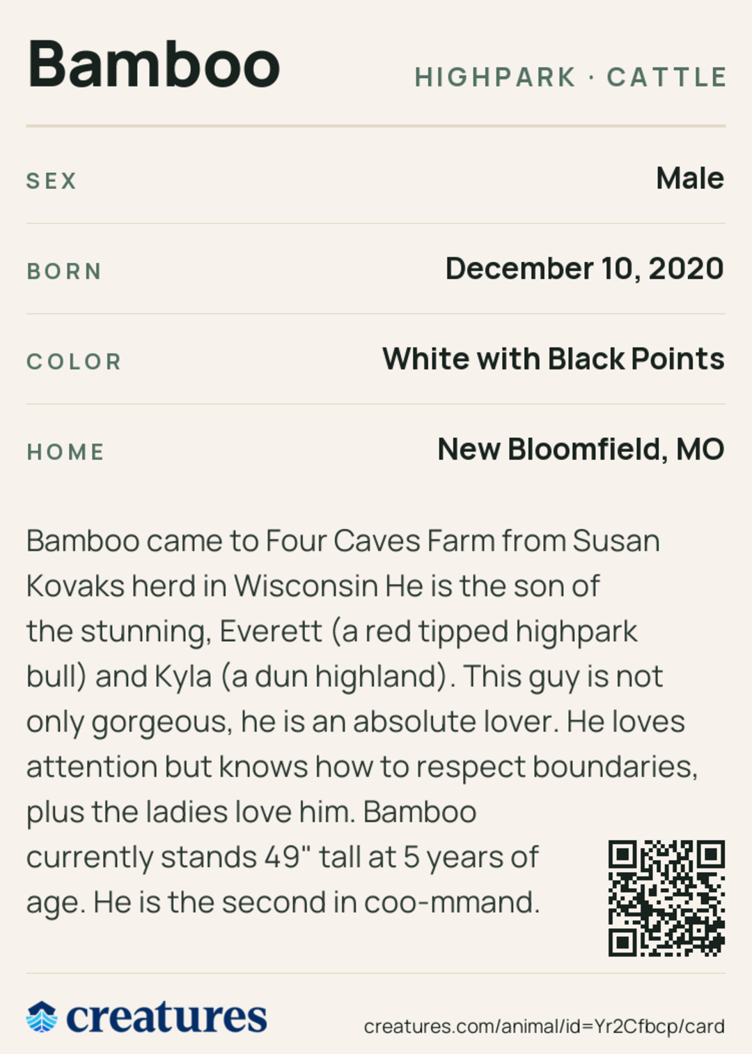 Bamboo Creature Card back
