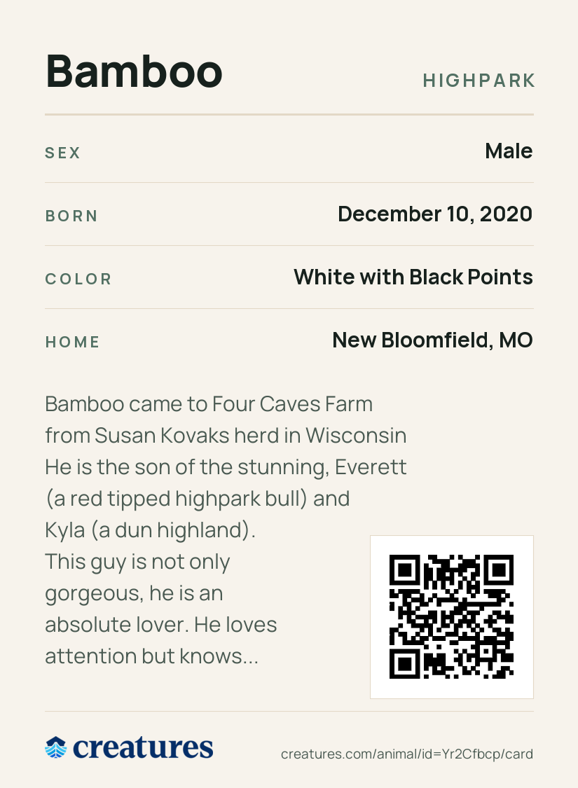 Bamboo Creature Card back