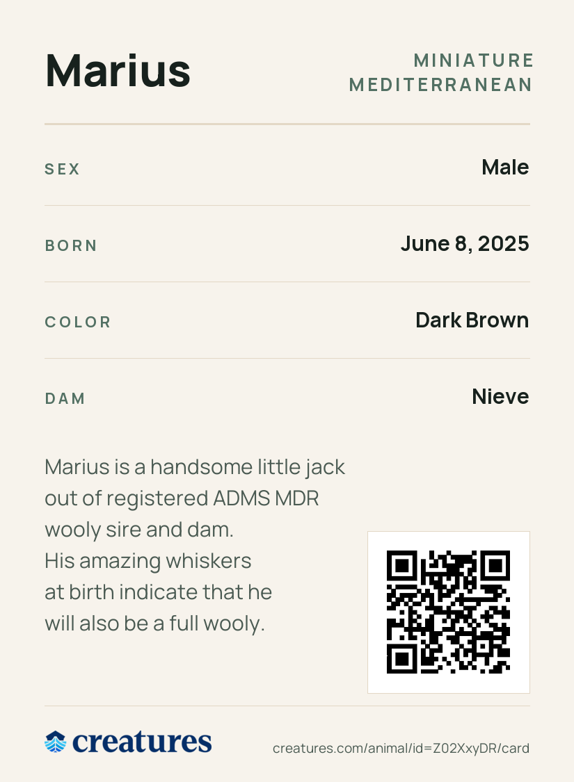 Marius Creature Card back