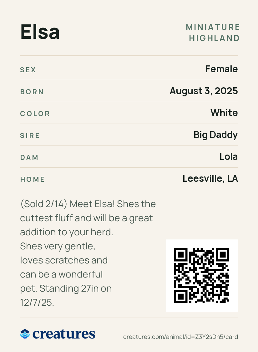 Elsa Creature Card back
