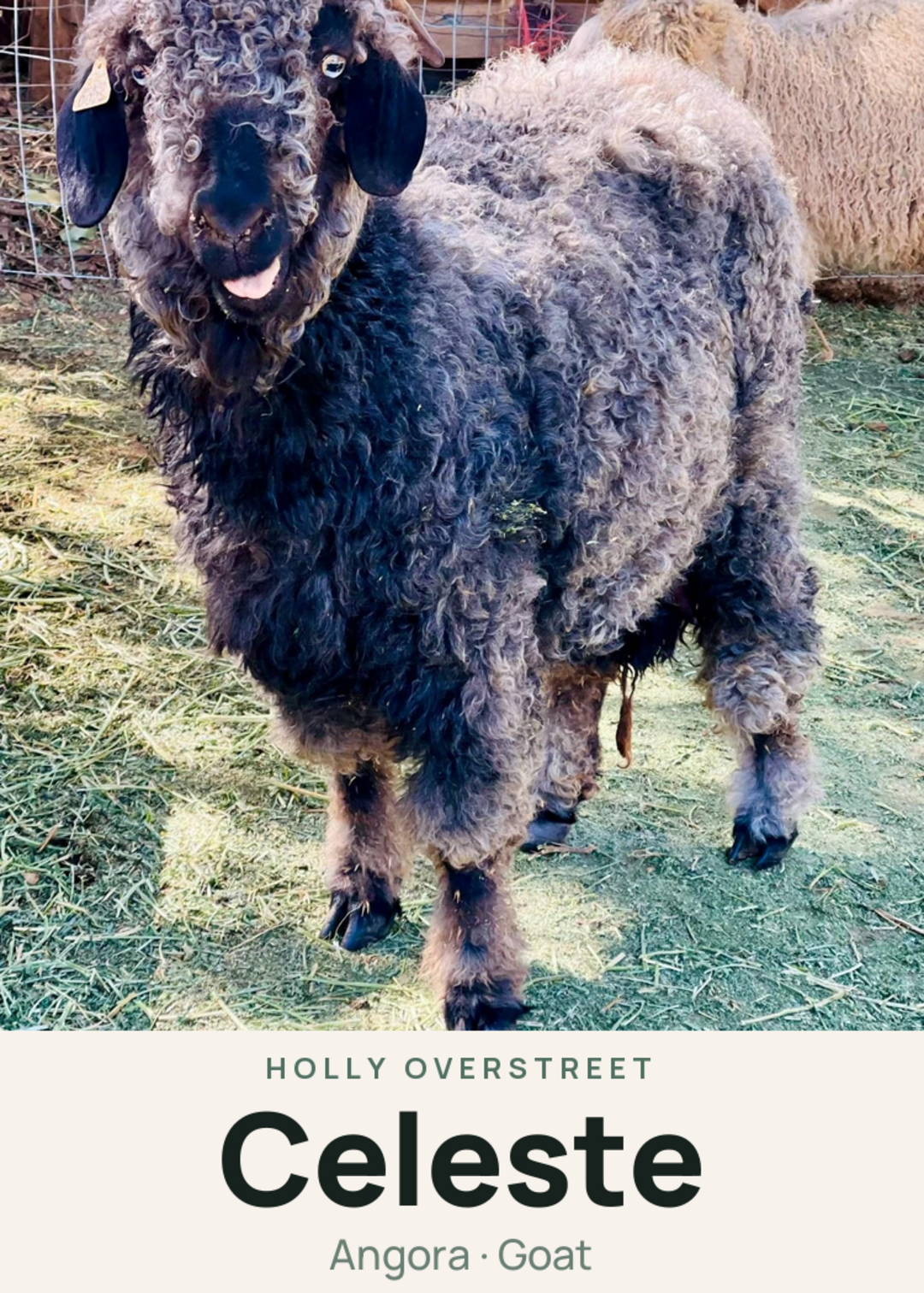 Celeste Creature Card