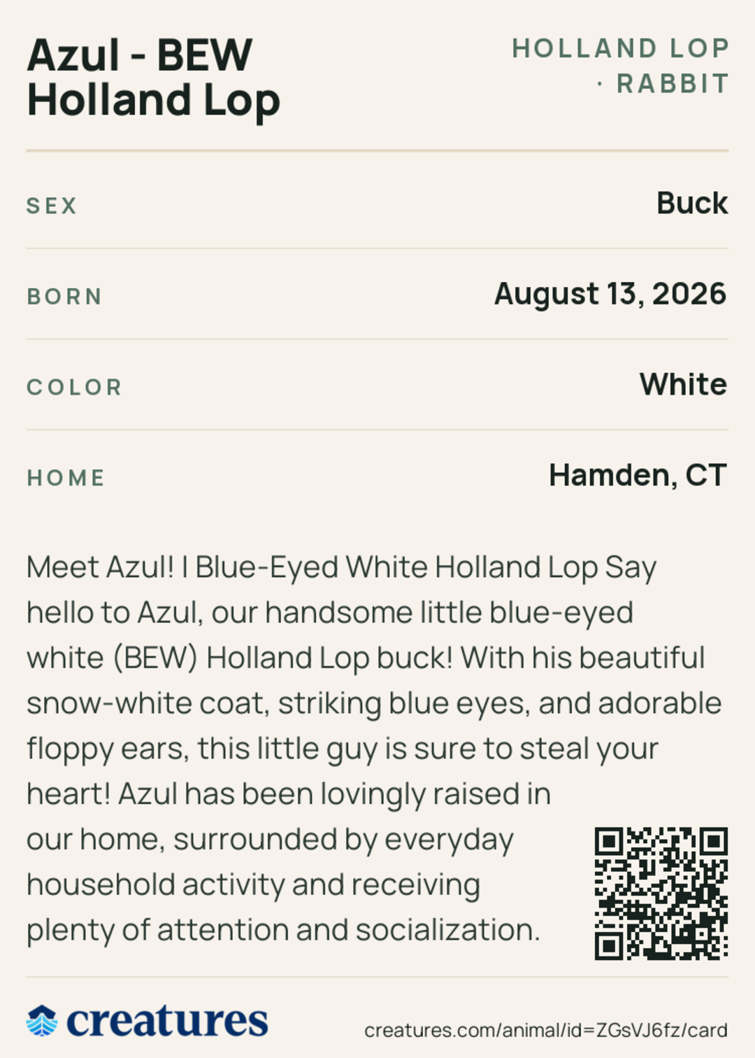 Azul - BEW Holland Lop Creature Card back