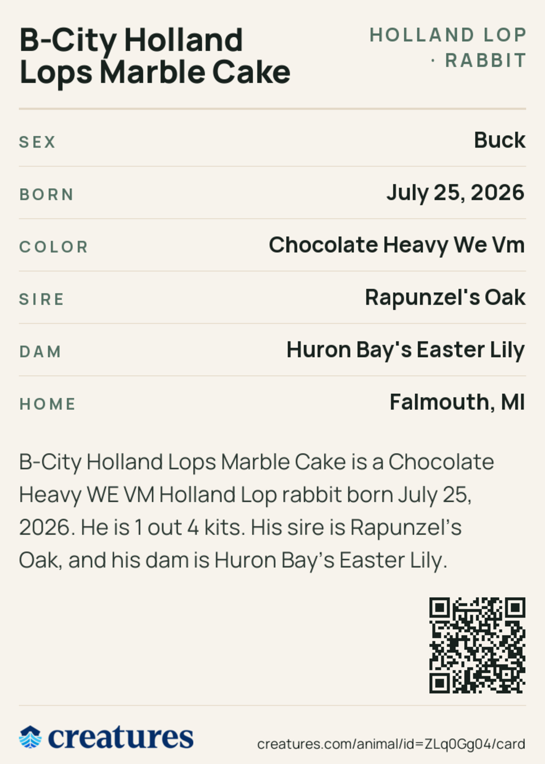 B-City Holland Lops Marble Cake Creature Card back