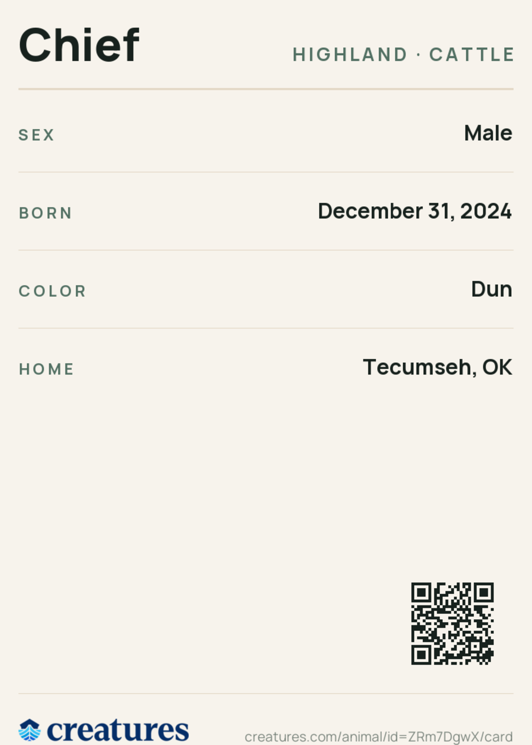 Chief Creature Card back