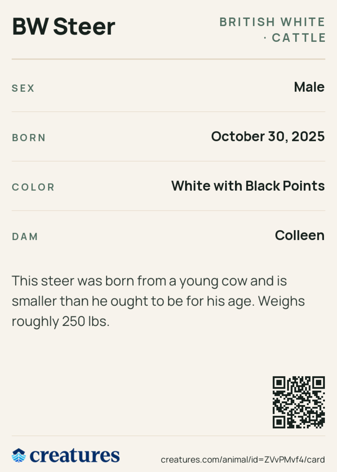 BW Steer Creature Card back